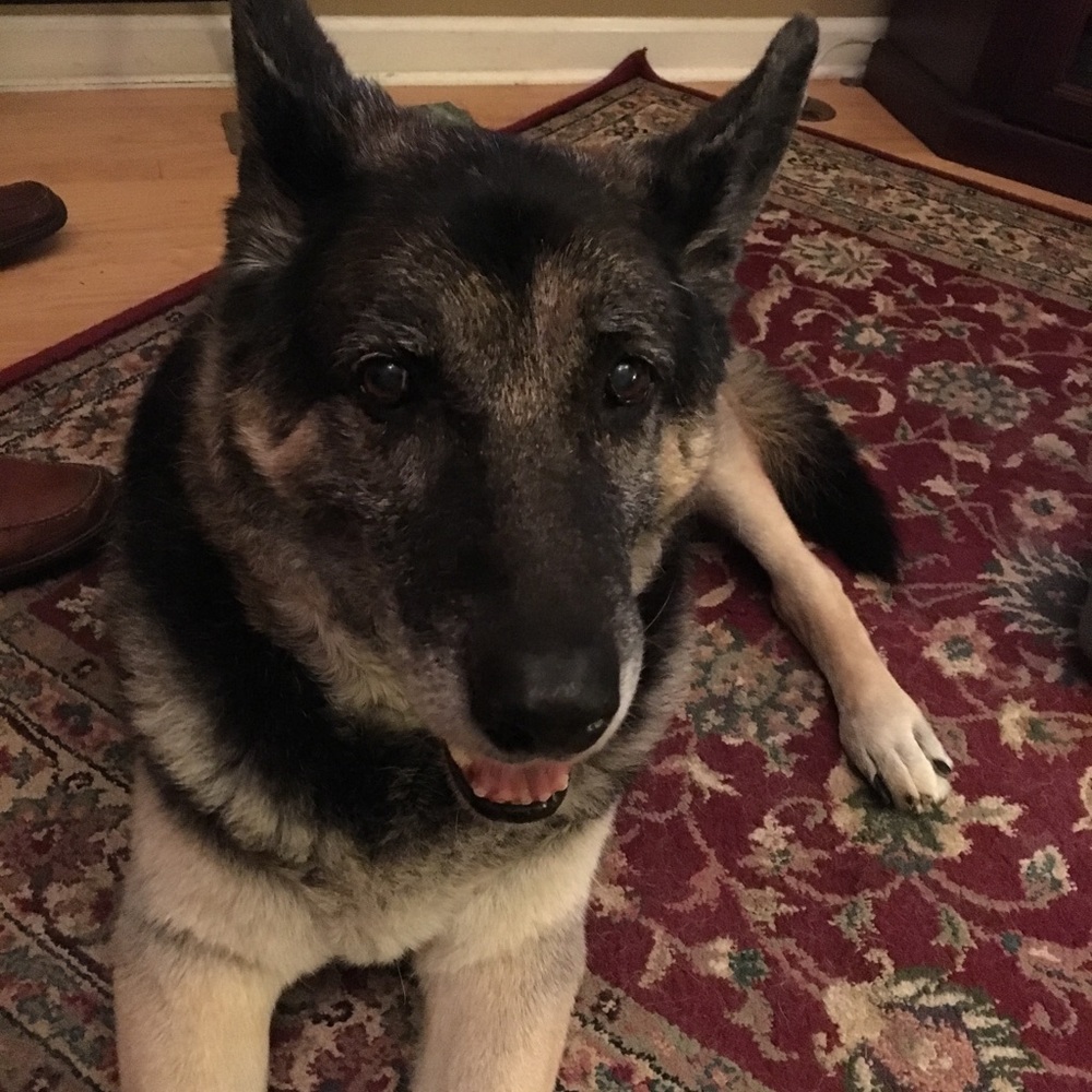 Meet your Posher, Sandra